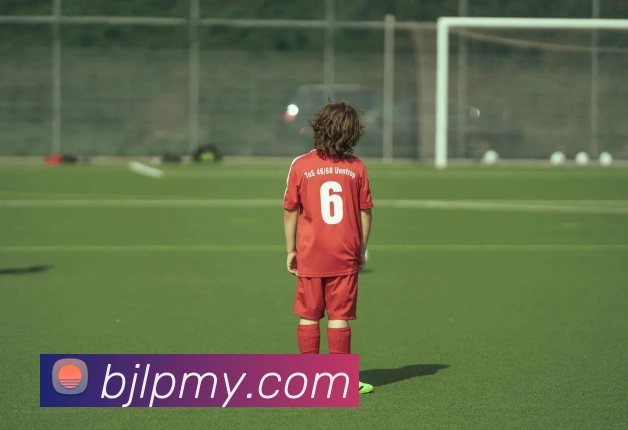 百家乐网站平台生态图